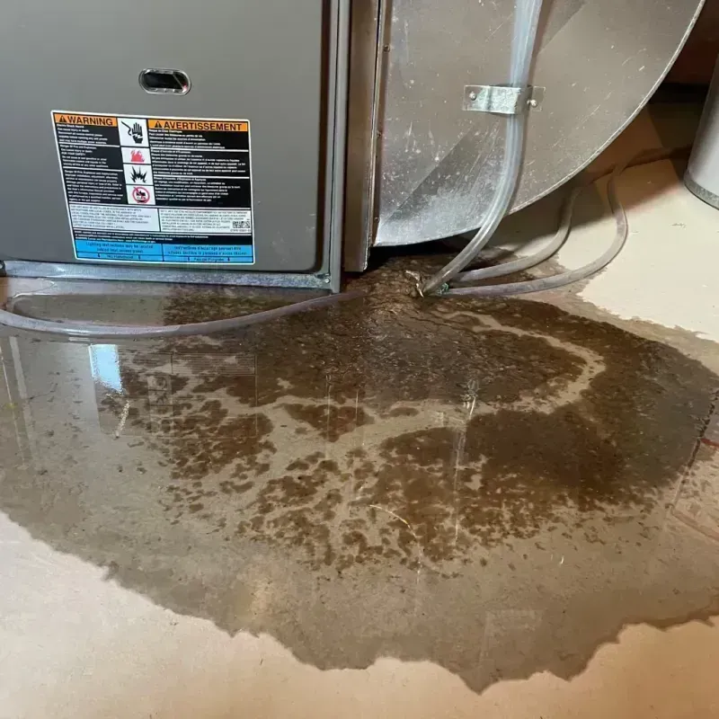 Appliance Leak Cleanup in Mingo County, WV